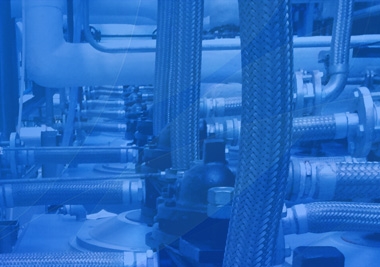 ��չ��Ԥ����2022���������Ź�������չ����Ϣ